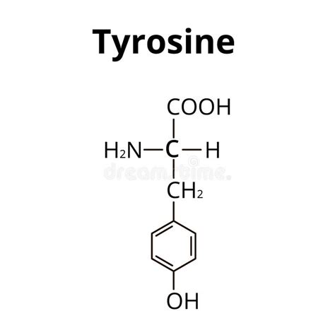 Structure Chimique Tyrosine Illustration Vectorielle Tir E Main