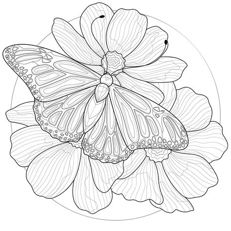 꽃 위에 앉아 있는 나비어린이와 성인을 위한 색칠 공부 책 안티 스트레스 흑백 프리미엄 벡터