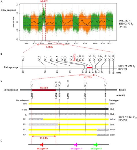 Frontiers Mc03g0810 An Important Candidate Gene Controlling Black