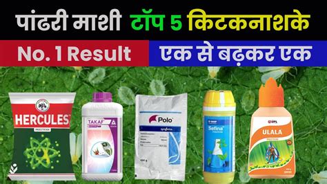 Best Top Whitefly Insecticide In India Whitefly Control Insecticide