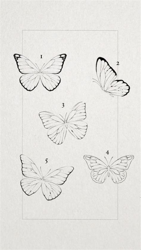 Four Butterflies Are Shown In Black And White Each With Different