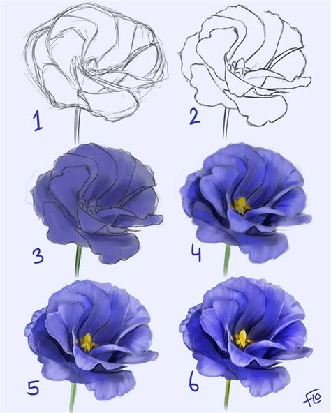 The Steps I Go Through When Painting Flowers From Rough Sketch To