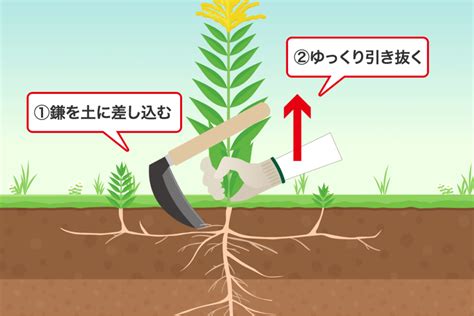 除草剤のおすすめ徹底比較！雑草に悩まなくなる商品の選び方と効果的な使い方 草刈り110番