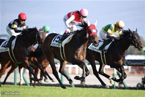 ショウナンナダル Shonan Nadal 競走馬データベース 競馬ラボ