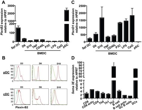 Plexin B2 Plexin D1 And Semaphorin 3e Expression A Expression Of