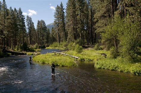 Where To Go Fly Fishing In Central Oregon Opportunities Abound In Fall