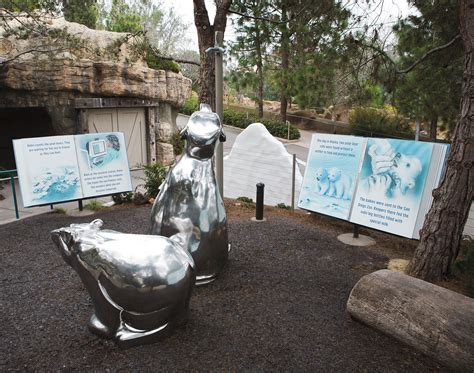 San Diego Zoo - Polar Bear Exhibit | San diego zoo, Polar bear, Exhibition