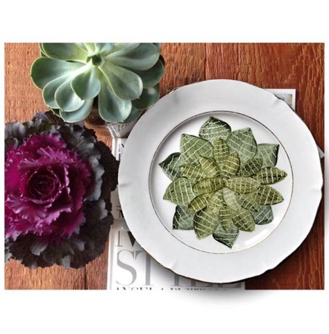 Handpainted Porcelain Cactus Series Plate By Andrea Zarraluqui