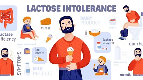 Understanding Lactose Intolerance Info My Webs