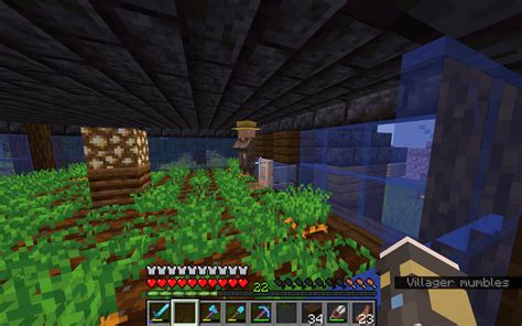 Malfunctioning Villager Carrot farm : r/technicalminecraft