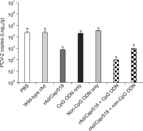 Qpcr Result Showing The Pcv Viral Genomic Copy Loads In Spleen Lung