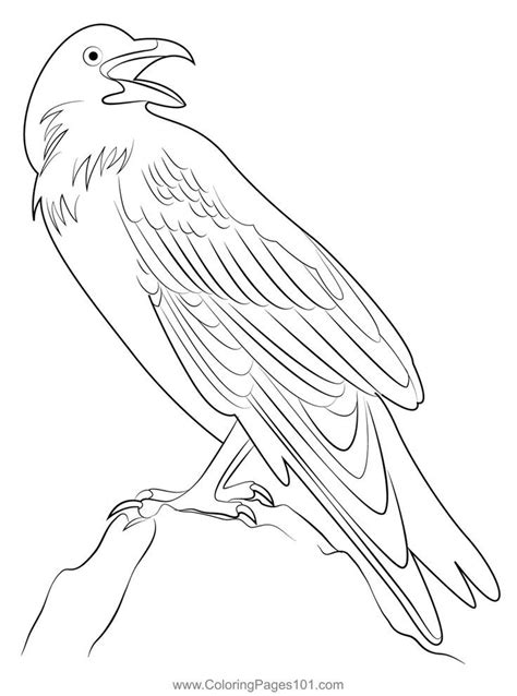 Raven 9 Coloring Page Raven Color Coloring Pages Color