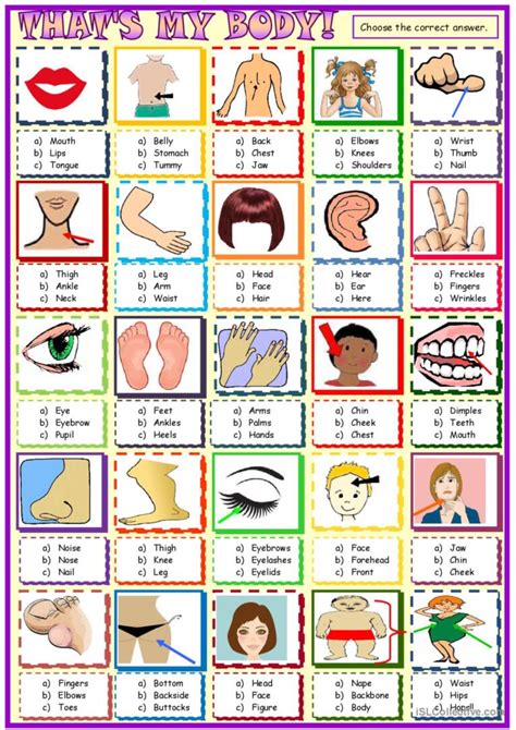 Body parts :multiple choice activity: English ESL worksheets pdf & doc