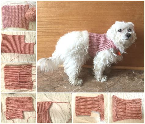 Messy, Beautiful, Fun: DIY Crochet Dog Sweater