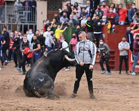 Muere Un Hombre De La Vall Por La Cogida De Un Toro En La Fira DOnda