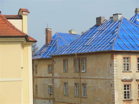 Dachbegrünung Geneigtes Dach Dachdeckungen Baunetz Wissen