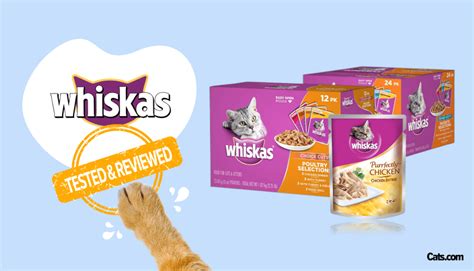 Unbiased Whiskas Cat Food Review Cats