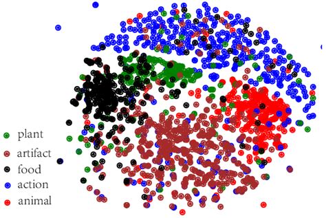 T Sne Visualization Of Word Embeddings For Each Category Learned From