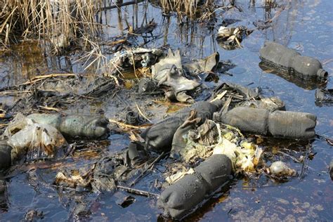 Oil pollution stock image. Image of plant, dirty, gloves - 21636593