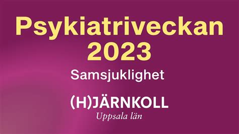 Kurt Nyberg Ordförande Hjärnkoll Uppsala Län Inleder 2023 års