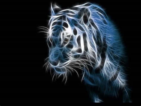 🔥 [50+] 3D Tiger Wallpapers | WallpaperSafari