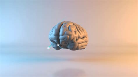 Brain Animation 3d