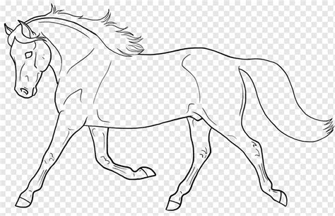 Linha Arte Mule Gal S P Nei E Cob Desenho Pintura Cavalo Branco