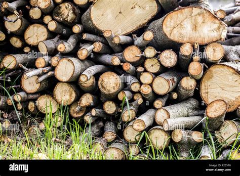 Stacked Wood Hi Res Stock Photography And Images Alamy