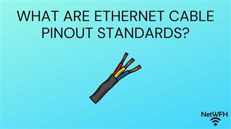 Standard Ethernet Rj45 Pinout Edu Svet Gob Gt