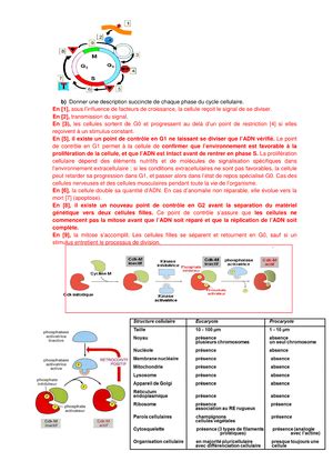 Cc Cb Corrige D Biologie Cellulaire Universit Paris Est