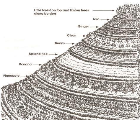 Tn 72 Sloping Agricultural Land Technology Salt