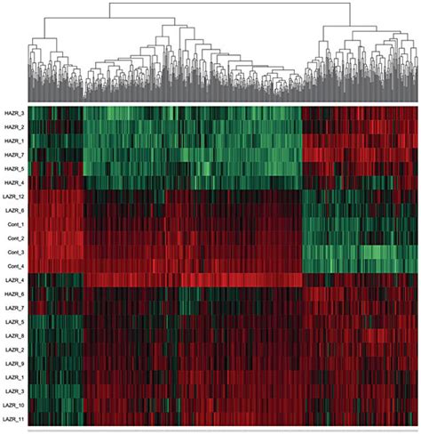 Heat Map Unsupervised Showing Hierarchical Clustering Of Gene