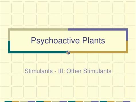 PPT - Psychoactive Plants PowerPoint Presentation, free download - ID:1430190