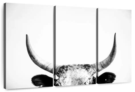 Cow Horns Wall Art | Photography