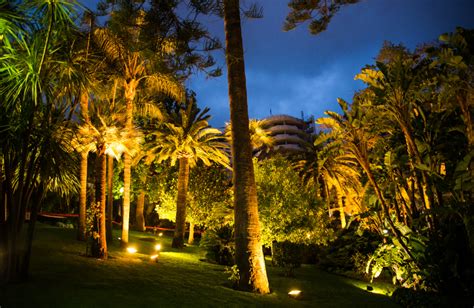 Best Palm Tree Lighting Service In Florida - Top Landscape Lighting