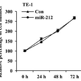 MiR 212 Overexpression Does Not Affect ESCC Cell Proliferation The