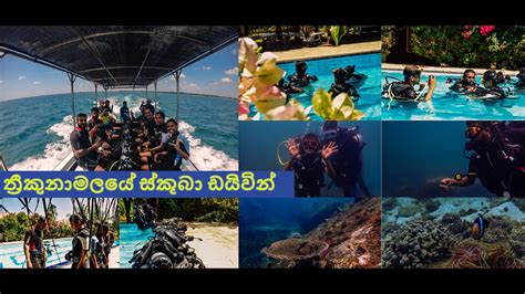 Scuba Diving In Trincomalee Sri Lanka Youtube