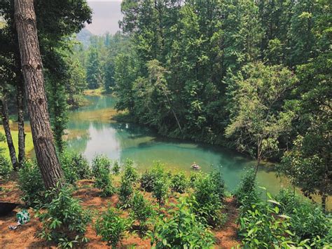 Actividades Finca Chijul Lugar Tur Stico Alta Verapaz