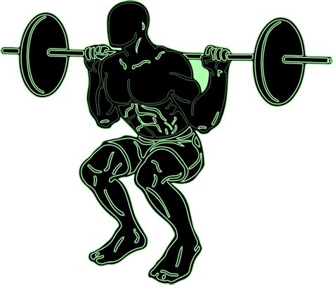 Clipart - Squat