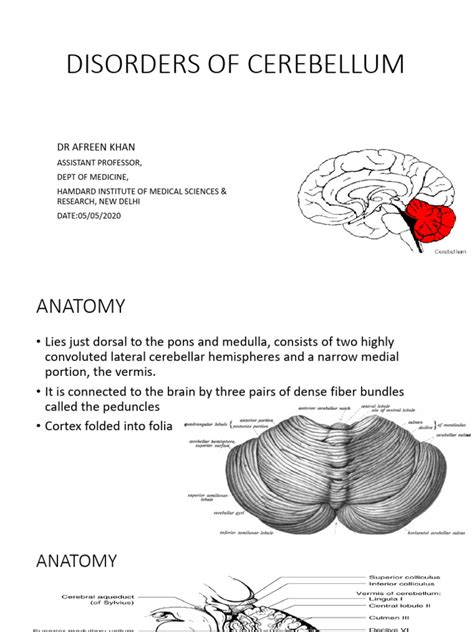 Disorders of Cerebellum | PDF | Cerebellum | Vertigo