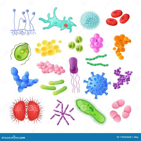 Microorganism Bacteria Virus Cell Bacillus Disease Bacterium And