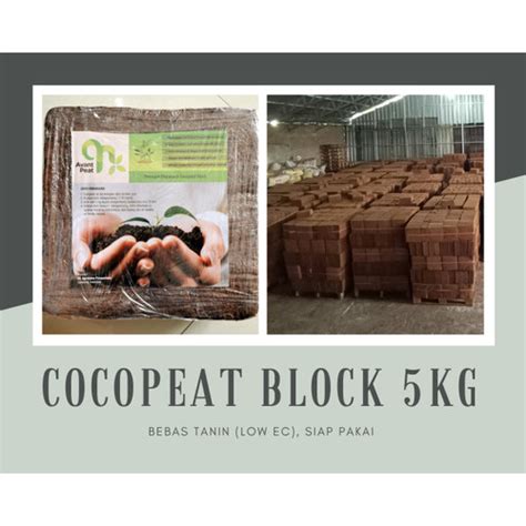 Jual Coco Peat Cocopeat Cocopit Cocovit Media Tanam Hidroponik Organik