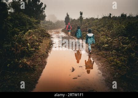 Vista De Una Familia Caminando A Trav S De Las Llanuras Densamente