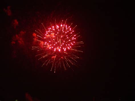 Fireworks in the night Free Photo Download | FreeImages