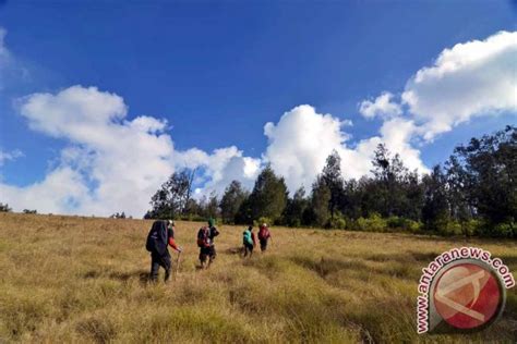 Jalur Pendakian Gunung Argopuro Akhirnya Dibuka Kembali Antara News