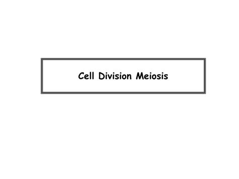 Cell - Division - Meiosis