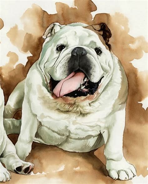 Pintura Moderna y Fotografía Artística Cuadros de Perros Mascotas