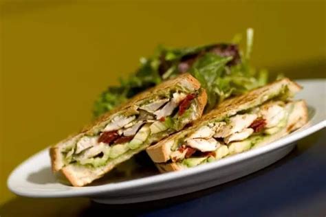 15 Chicken Panini Recipes for a Mouth-Watering Lunch - Jane's Kitchen