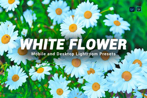 White Flower Lightroom Presets Graphic By Zhidayat Creative Fabrica