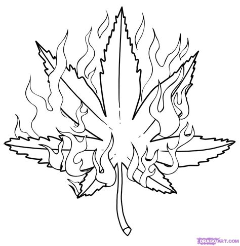 Free Pot Leaf Drawing, Download Free Pot Leaf Drawing png images, Free ...